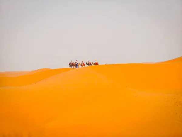 stock image Camel caravan leading tourists through the Sahara desert. Merzougha, Morocco