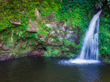 Azores 'in mavi gölü Poco Azul, Sao Miguel, Portekiz. Poco Azul şelalesinin insansız hava aracı görüntüsü