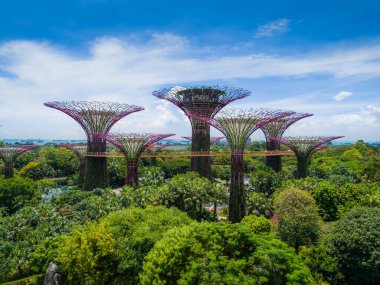 Singapur 'da körfez kenarındaki bahçeler. Süperağaç koruluğuyla botanik bahçesi. Hava aracı görünümü