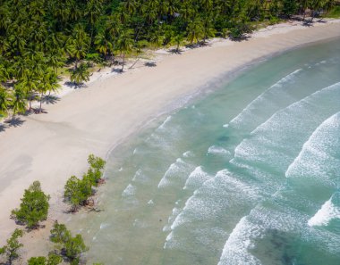 Palawan Adası, Filipinler. Palawan manzarasının panoramik görüntüsü. Hava aracı görünümü