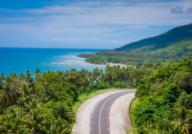Filipinler 'deki Palawan Adası' nda El Nido 'ya uzanan egzotik palmiye ağacı yolu. Hava aracı fotoğrafı. Puerto Princesa 'dan El Nido' ya açık yol gezisi 