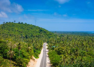 Filipinler 'deki Palawan Adası' nda El Nido 'ya uzanan egzotik palmiye ağacı yolu. Hava aracı fotoğrafı. Puerto Princesa 'dan El Nido' ya açık yol gezisi 