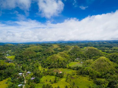 Çikolata tepeleri, Bohol Adası, Filipinler. Hava aracı panoramik görünümü