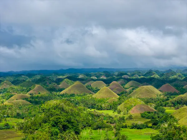 Çikolata tepeleri, Bohol Adası, Filipinler. Hava aracı panoramik görünümü