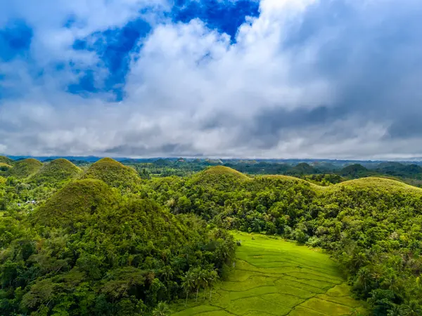 Çikolata tepeleri, Bohol Adası, Filipinler. Hava aracı panoramik görünümü