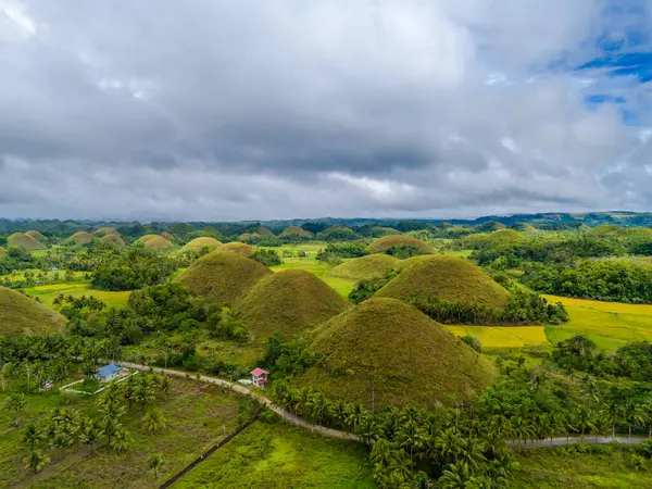 Çikolata tepeleri, Bohol Adası, Filipinler. Hava aracı panoramik görünümü