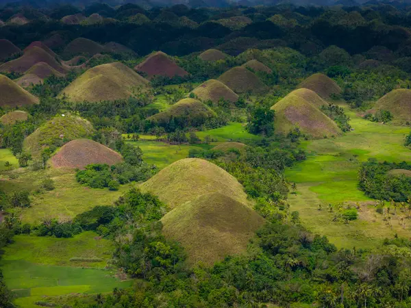 Çikolata tepeleri, Bohol Adası, Filipinler. Hava aracı panoramik görünümü