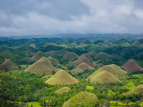 Çikolata tepeleri, Bohol Adası, Filipinler. Hava aracı panoramik görünümü