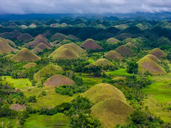 Çikolata tepeleri, Bohol Adası, Filipinler. Hava aracı panoramik görünümü