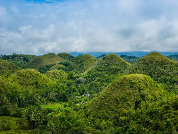 Çikolata tepeleri, Bohol Adası, Filipinler. Hava aracı panoramik görünümü
