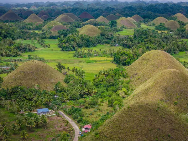 Çikolata tepeleri, Bohol Adası, Filipinler. Hava aracı panoramik görünümü