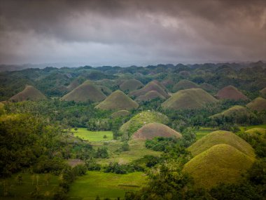 Bohol Adası, Filipinler 'deki Chocolate Hills' in insansız hava aracı görüntüsü. Yeşil ve kahverengi tepelerin jeolojik oluşumunun panoramik görüntüsü