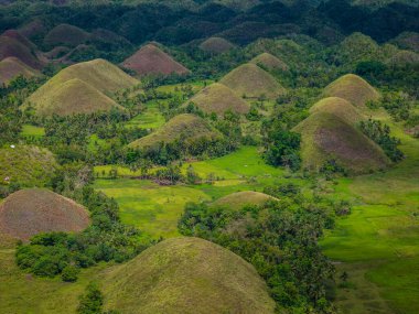 Bohol Adası, Filipinler 'deki Chocolate Hills' in insansız hava aracı görüntüsü. Yeşil ve kahverengi tepelerin jeolojik oluşumunun panoramik görüntüsü