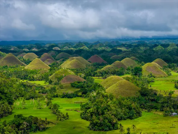 Bohol Adası, Filipinler 'deki Chocolate Hills' in insansız hava aracı görüntüsü. Yeşil ve kahverengi tepelerin jeolojik oluşumunun panoramik görüntüsü