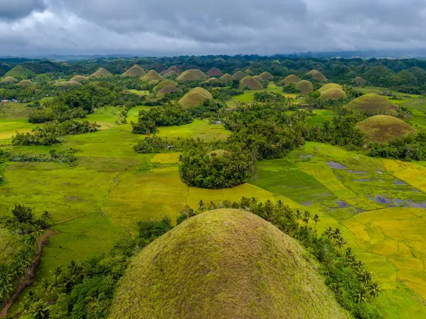 Bohol Adası, Filipinler 'deki Chocolate Hills' in insansız hava aracı görüntüsü. Yeşil ve kahverengi tepelerin jeolojik oluşumunun panoramik görüntüsü