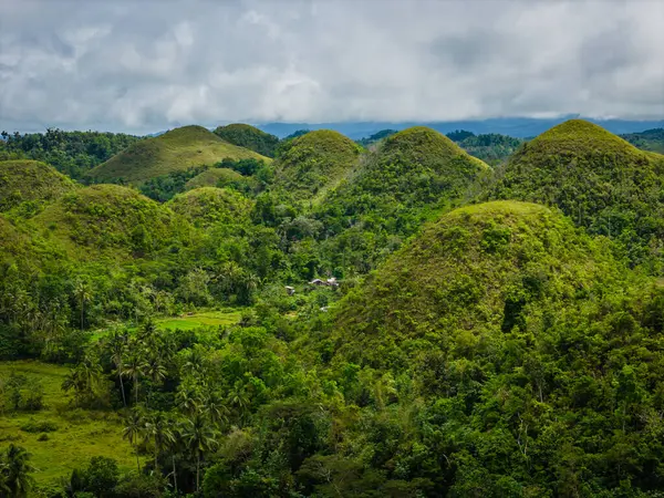 Bohol Adası, Filipinler 'deki Chocolate Hills' in insansız hava aracı görüntüsü. Yeşil ve kahverengi tepelerin jeolojik oluşumunun panoramik görüntüsü