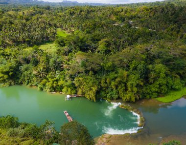 Filipinler 'deki Bohol adasında palmiye ağaçları olan Loboc Nehri. Nehir seyahatleri için popüler olan insansız hava aracı görüntüsü 