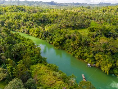 Filipinler 'deki Bohol adasında palmiye ağaçları olan Loboc Nehri. Nehir seyahatleri için popüler olan insansız hava aracı görüntüsü 