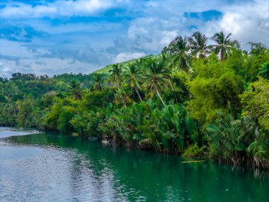 Filipinler 'deki Bohol adasında palmiye ağaçları olan Loboc Nehri. Nehir seyahatleri için popüler olan insansız hava aracı görüntüsü 