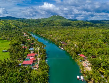 Filipinler 'deki Bohol adasında palmiye ağaçları olan Loboc Nehri. Nehir seyahatleri için popüler olan insansız hava aracı görüntüsü 