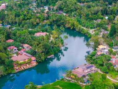 Filipinler 'deki Bohol adasında palmiye ağaçları olan Loboc Nehri. Nehir seyahatleri için popüler olan insansız hava aracı görüntüsü 