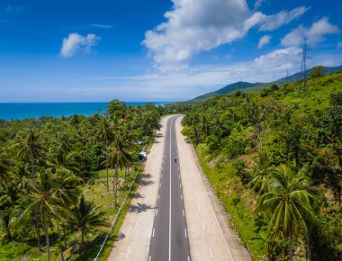 Filipinler 'deki Palawan Adası' nda El Nido 'ya uzanan egzotik palmiye ağacı yolu. Hava aracı fotoğrafı. Puerto Princesa 'dan El Nido' ya açık yol gezisi 