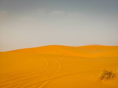 Sahra Çölü 'ndeki güzel kum tepeleri, Merzouga, Fas, Kuzey Afrika