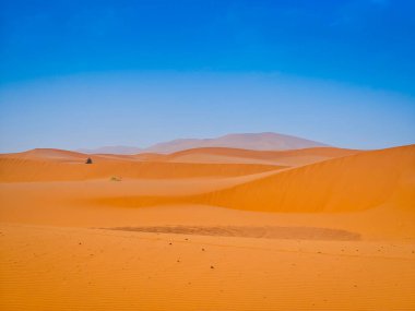 Sahra Çölü 'nde kum tepecikleri. Arka planda mavi gökyüzü, Merzouga, Fas, Kuzey Afrika.