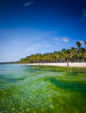 05 13 2025 Boracay, Filipinler. Büyük algler Filipinler 'deki Boracay adalarında zümrüt yeşili okyanus suları açıyor.