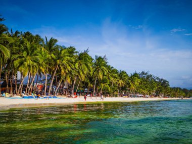 05 13 2025 Boracay, Filipinler. Büyük algler Filipinler 'deki Boracay adalarında zümrüt yeşili okyanus suları açıyor.