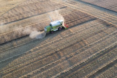 Combine harvester harvesting crops during sunset in Scotland UK