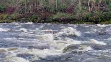 Dee Nehri en son İngiltere kışı boyunca yüksek su seviyesi nedeniyle akar.