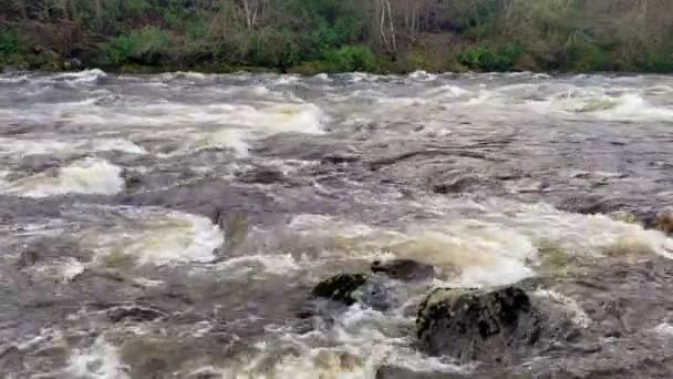 River Dee Senast Strömmande Grund Hög Vattennivå Vintern Storbritannien — Stockvideo