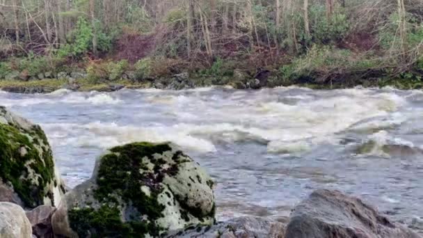 英国の冬の間に高い水位のために川ディー最後の流れ — ストック動画