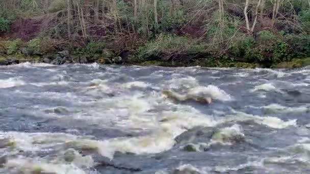 River Dee Ostatnio Płynące Względu Wysoki Poziom Wody Zimie Wielkiej — Wideo stockowe