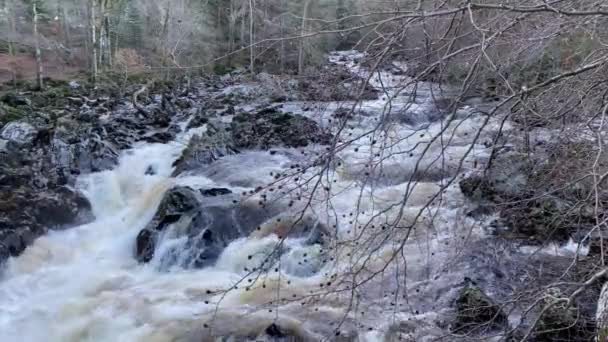 Rzeka Dee Szybko Płynie Względu Wysoki Poziom Wody Zimą Moście — Wideo stockowe