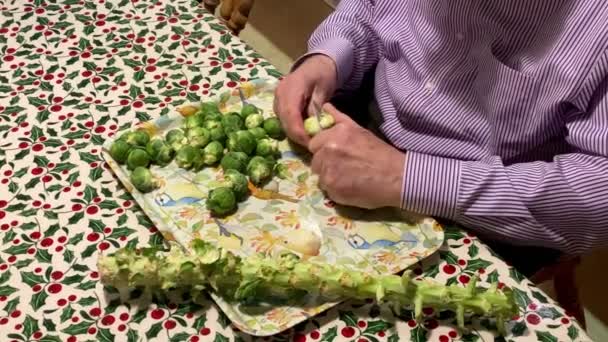 Rosenkohl Wird Vor Dem Kochen Von Einem Älteren Mann Zubereitet — Stockvideo