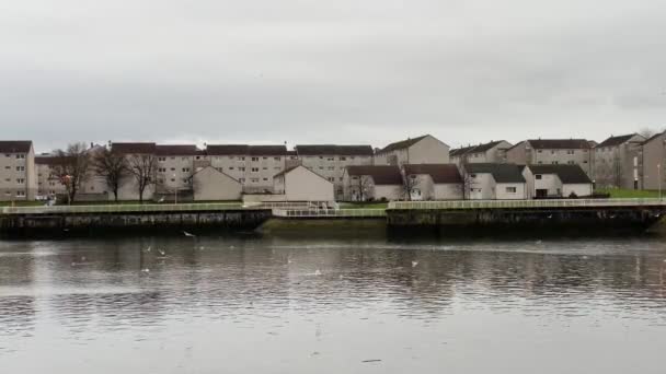 Govan Council Flats Poor Housing Estate Many Social Welfare Issues — Stock video