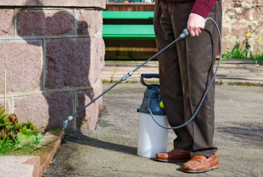 Weed killer spray using pump action bottle in garden UK clipart