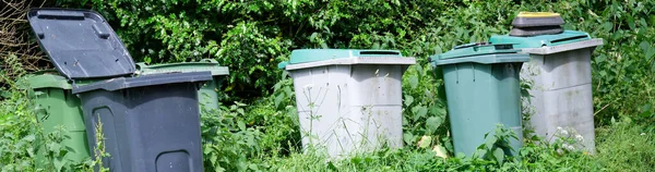 stock image Wheelie bins in row for refuge collection in rural area UK