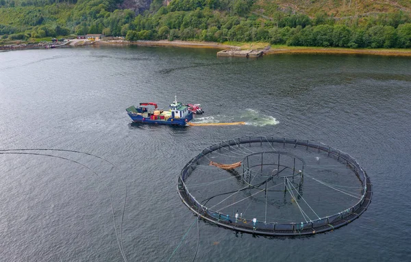 Fish Farm Salmon Nets Natural Environment Loch Fyne Arygll Bute — Fotografia de Stock
