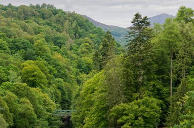 Pitlochry UK 'deki köprüden Tummel Nehri manzarası