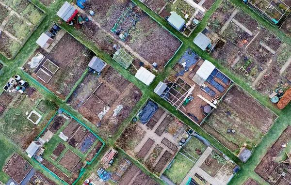 Allotment Plots Growing Vegetables Fruit Sustainable Living Aberdeenshire 스톡 사진