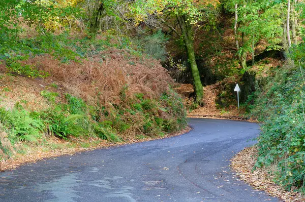 Dangerous Road Bend Rural Countryside Autumn — Stock Photo, Image