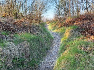 İngiltere 'nin eski demiryolu hattında inşa edilmiş kırsal alanda bisiklet ve yürüyüş yolu