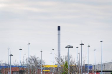 Umumi otoparktaki lambalar İngiltere 'nin göbeğinde.