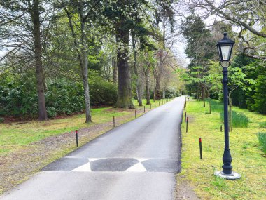 Hız tümsekleri olan özel yol İngiltere Oteli 'ne çıkıyor.