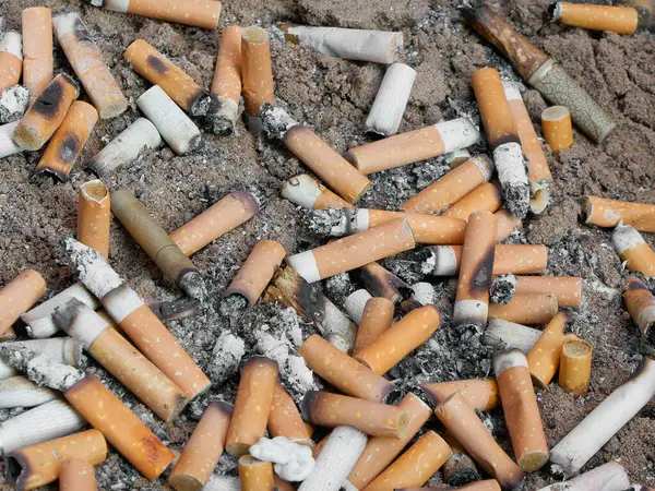 İngiltere meyhanesinin dışındaki kum kovasına atılmış sigaralar.