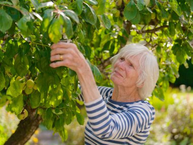 İngiltere 'de yaz boyunca bahçede yaşlılar için aktif bir yaşam tarzı.