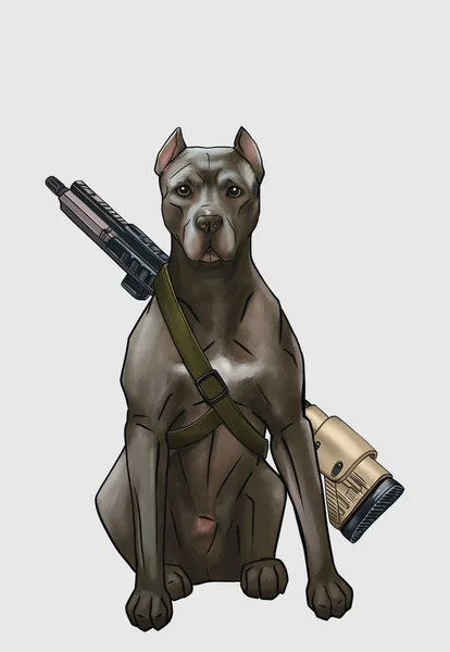 a pit bull dog sits with a sniper rifle